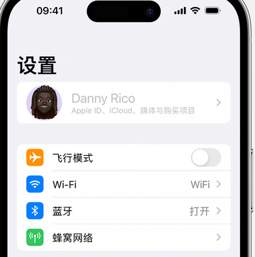 镇原appleID维修服务iPhone设置中Apple ID显示为灰色无法使用 