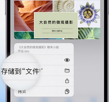 镇原apple维修中心分享iPhone文件应用中存储和找到下载文件