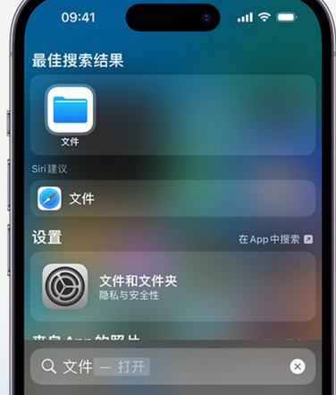 镇原apple维修中心分享iPhone文件应用中存储和找到下载文件