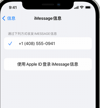 镇原apple维修iPhone上无法正常发送iMessage信息