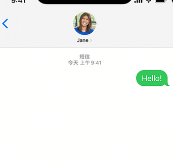 镇原apple维修iPhone上无法正常发送iMessage信息