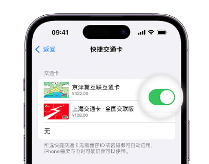 镇原apple维修点分享iPhone上更换Apple Pay快捷交通卡手绘卡面 