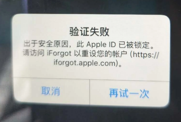 镇原iPhone维修分享iPhone上正常登录或使用AppleID怎么办 