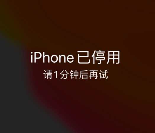 镇原苹果手机维修分享:iPhone 显示“不可用”或“已停用”怎么办？还能保留数据吗？ 