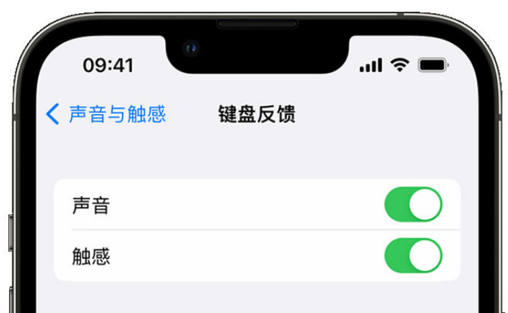 镇原苹果手机维修分享iPhone 14触感键盘使用方法 