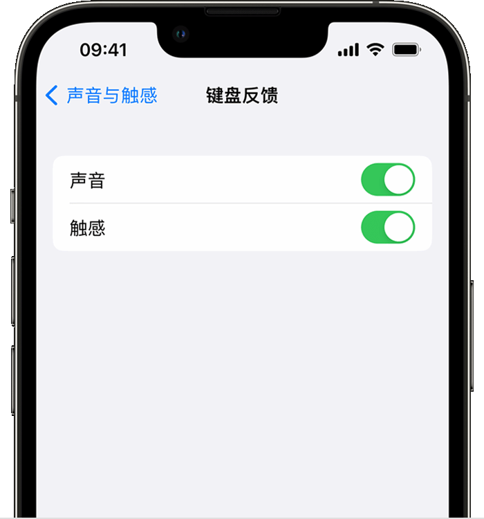 镇原苹果14维修店分享如何在 iPhone 14 机型中使用触感键盘 