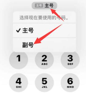 镇原苹果14维修店分享iPhone 14 Pro Max使用副卡打电话的方法 