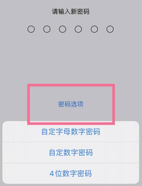 镇原苹果14维修分享iPhone 14plus设置密码的方法 