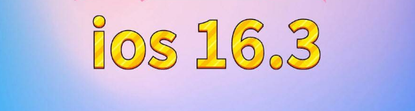 镇原苹果服务网点分享苹果iOS16.3升级反馈汇总 